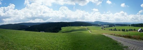 Bauen in Furtwangen, St. Blasien, Todtnau sowie Stühlingen