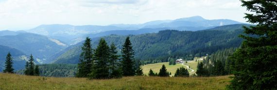 Wohnregion in der Stadt Weil am Rhein